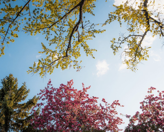 Varför du är tröttare i mars (trots mer sol)